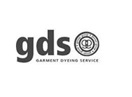 GDS logo